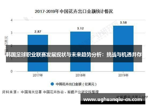 韩国足球职业联赛发展现状与未来趋势分析：挑战与机遇并存